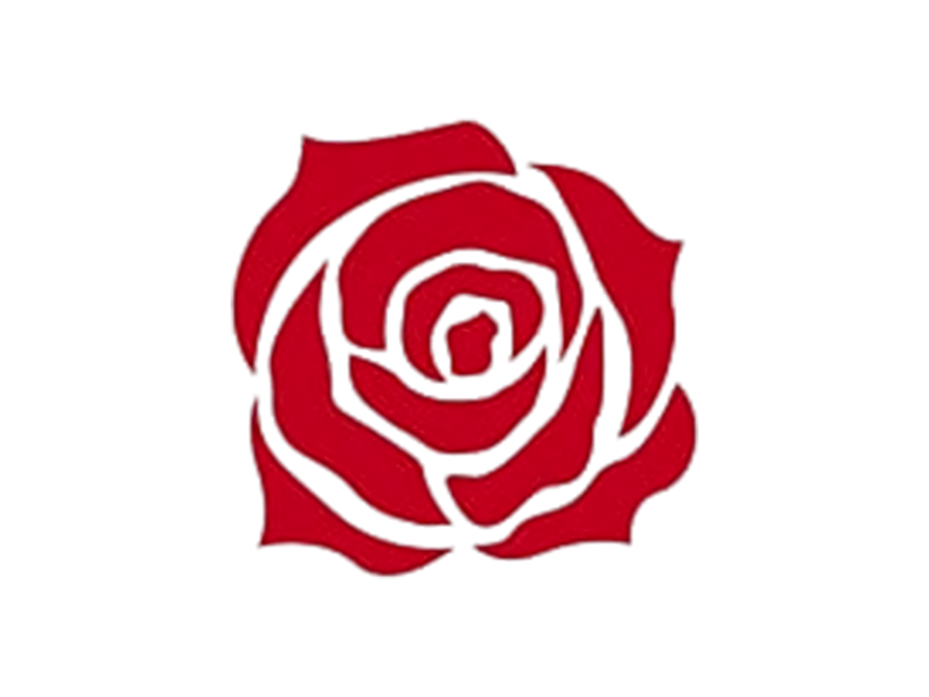 Rose Background